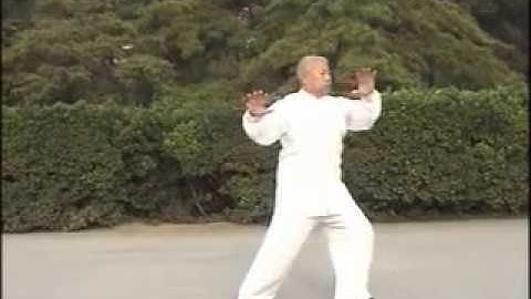 武式太极拳簡化竞赛套路: 翟维传 - Wu Hao simplified TaiChi Form by Zhai Weichuan