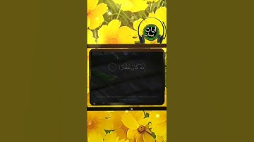 "فقلت استغفروا ربكم ان كان غفارا.." ياسر الدوسري تلاوة خاشعة قران كريم بصوت جميل #قران