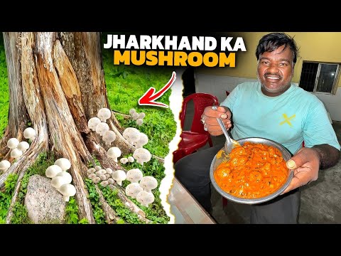 Aaj Tho Mushroom Curry Khakar Maja Hi Aa Gaya ? || #vlog
