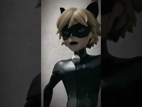 Miraculous Chat Noir Edit Mucize Uğur Böceği İle Kara Kedi