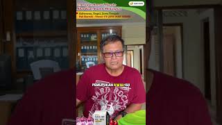 Testimoni Pak Kartoib: Bawang merah lebih berbobot &amp; tahan banjir dengan TSP Maroko &amp; NPK 16 Ibumi