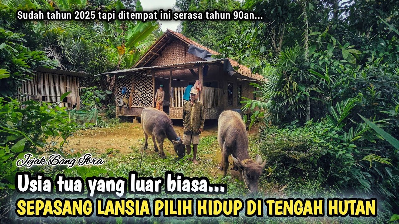 INILAH KEHIDUPAN SEPASANG LANSIA, HANYA BERDUA TINGGAL DI TENGAH HUTAN DI BAWA KAKI GUNUNG LUMBUNG..