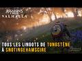 Assassin's Creed Valhalla - Emplacement de tous les lingots de tungstène à Snotingehamscire