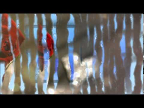 بأبي وأمي أنت يا خير الورى وصلاة ربي والسلام معطرا