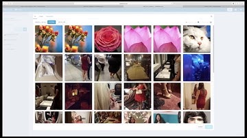 Creative Commons: How to find and attribute CC photos from Flickr