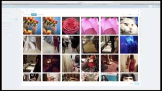 Creative Commons: How to find and attribute CC photos from Flickr