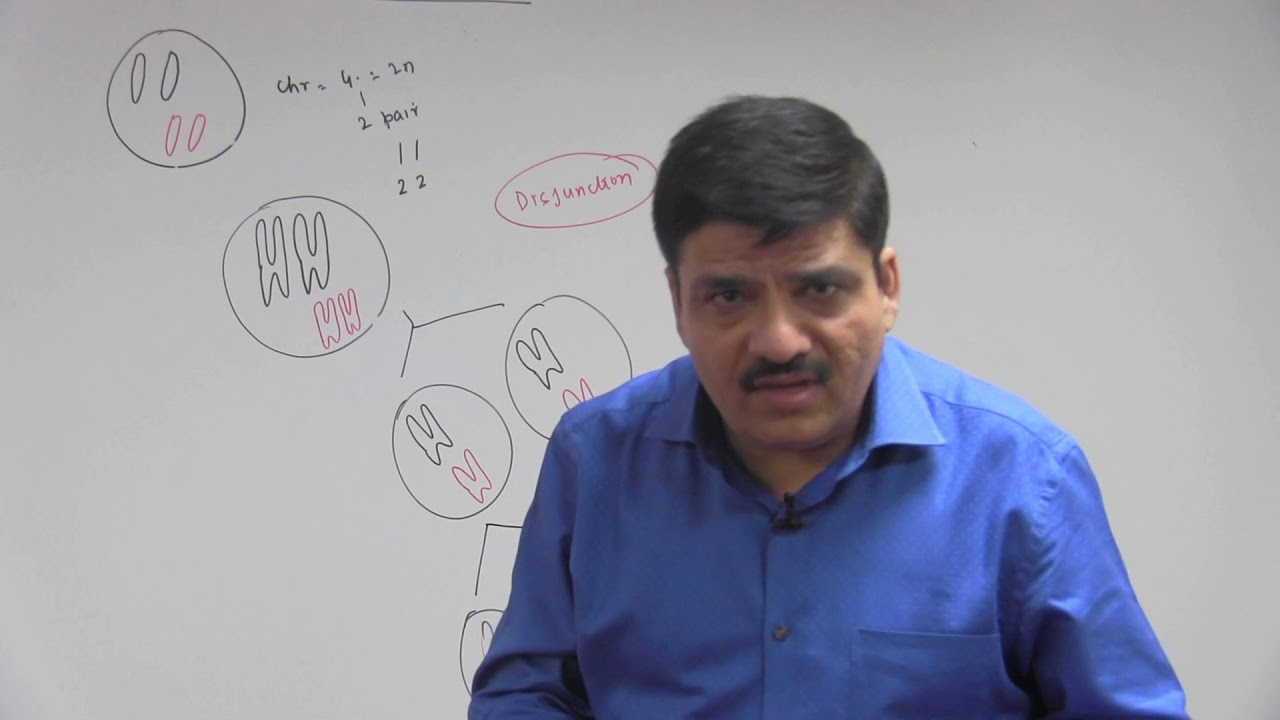 nta neet 2019 merit list #34 - Non-disjunction & Aneuploidy - Principles of Inheritance & Vairation