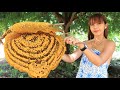 Cook and find honey in my homeland - Cook and eat honey recipe