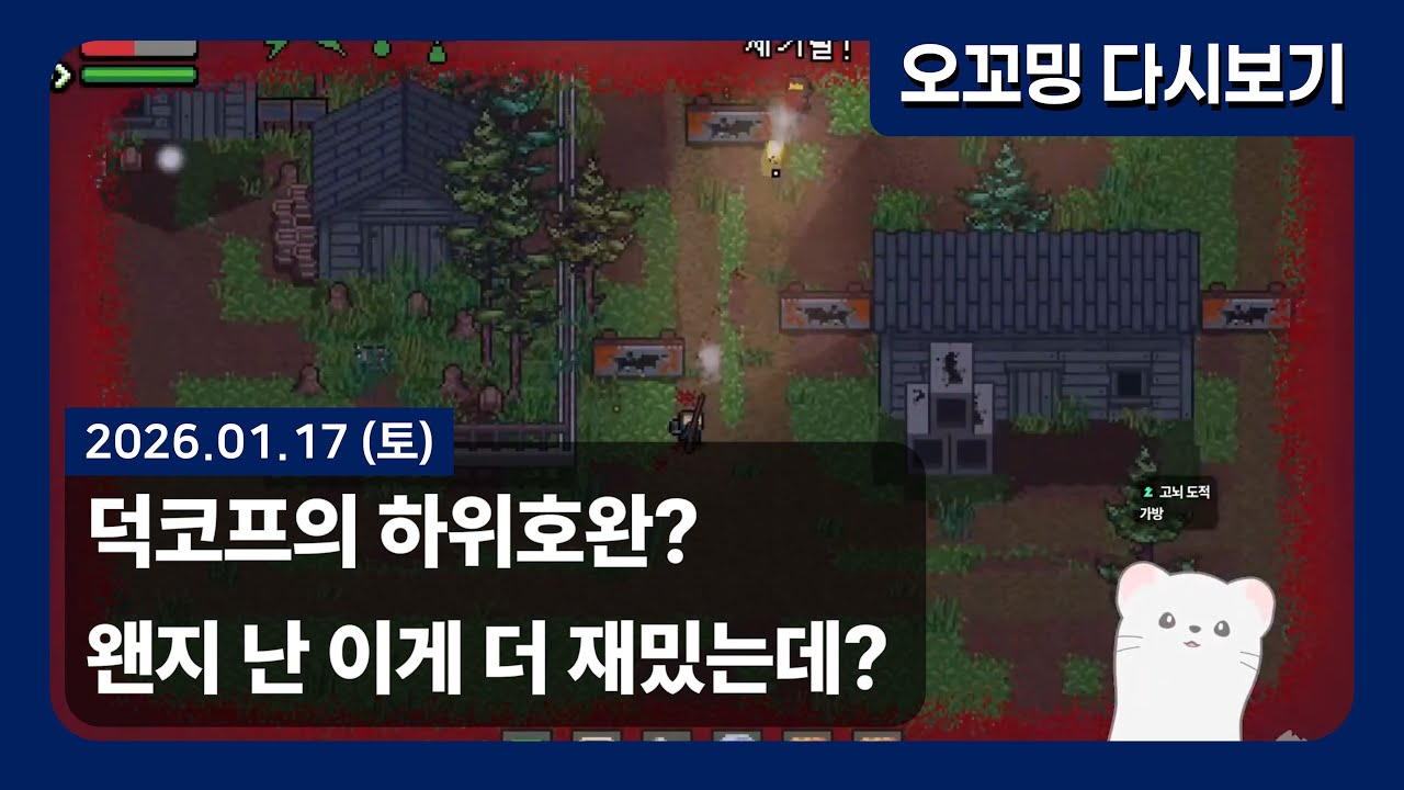 ʕ•ᴥ•ʔ 오꼬밍 라이브