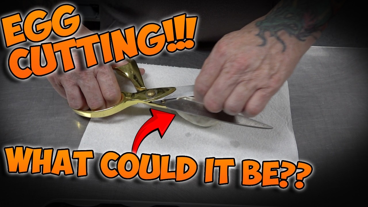 What Could It Be?? EGG CUTTING