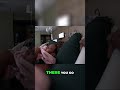 Empress GIVES BIRTH to Daughter with a PUSH | Charli's Arrival