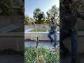 Perfect hit 🤩 || इस भेड़ का नाम जानता है कोई? #shorts #viralvideo #youtubeshorts