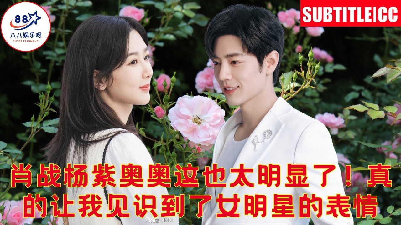 Сяо Чжань и Ян Цзы, это слишком очевидно! Это заставило меня увидеть эмоции женщин-звёзд.