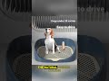 Stop Cleaning Puppy Urine 💦🐶 Check this Dog Potty Toilet Solution! 🔥Link in Bio! #shopnow #buynow