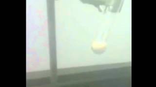 Chem Lab Project - The Exploding Gummy Bear