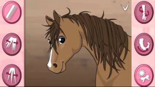 HORSE CARE MANE BRAIDING screenshot 3