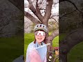 Sakura Ride 65km🌸 #cycling #sakura #japan