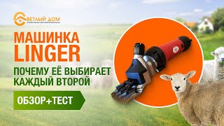 Немецкая машинка для стрижки овец Linger. Краткий обзор + тест: стрижем грязную овцу машинкой Лингер