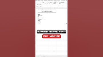 Начальник оформлял как новичок!