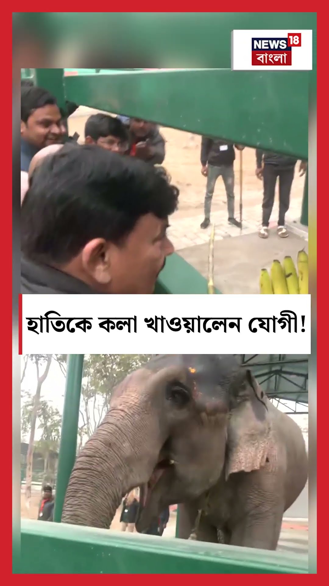 হাতিকে কলা খাওয়ালেন CM Yogi Adityanath!  | N18S #shorts