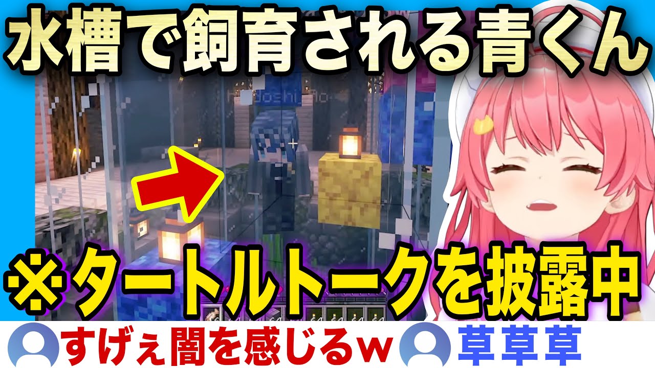 水槽で飼育され解像度の高いタートル・トークを披露させられる青くんw【ホロライブ/さくらみこ/火威青/切り抜き】