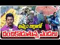 ఉమ్మడి ఖమ్మం జిల్లా వ్యాప్తంగా దంచికొడుతున్న ఎండలు | | High Temparature in Khammam District |