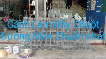CÁCH LÀM BẪY CHUỘT ĐƯỜNG MÒN ( CHUẨN ĐẸP NHẤT) 0978.397.866
