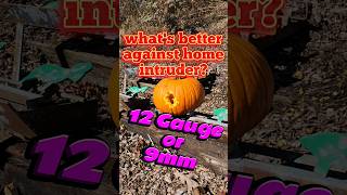 What's better against home intruder, #12gauge or #9mm