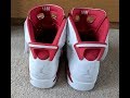 Nike Air Jordan 6 Alternate