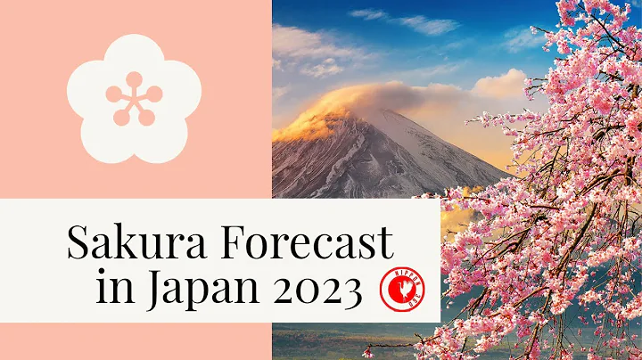 Sakura (Cherry Blossom) Forecast in Japan for 2023 - DayDayNews