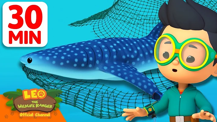 HELP THE WHALE SHARK ESCAPE THE NET! 🥅 | 30 Min | Leo the Wildlife Ranger | Kids Cartoons