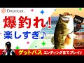 Dreamcast GET BASS【ドリームキャスト名作 バス釣りゲーム】