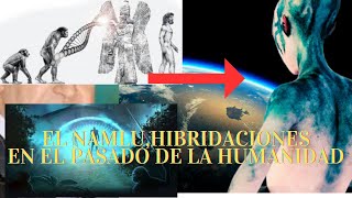 EL PRIMER HUMANO,EL NAMLU,HIBRIDACIONES EXTRATERRESTRES EN EL PASADO by Jaconor 73 23,557 views 3 weeks ago 8 minutes, 35 seconds