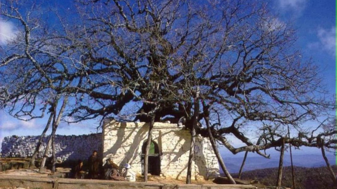 ترجمة سيدي عبد السلام بن مشيش رحمه الله تعالى - بصوت الشيخ عبدالرزاق سويد رحمه الله