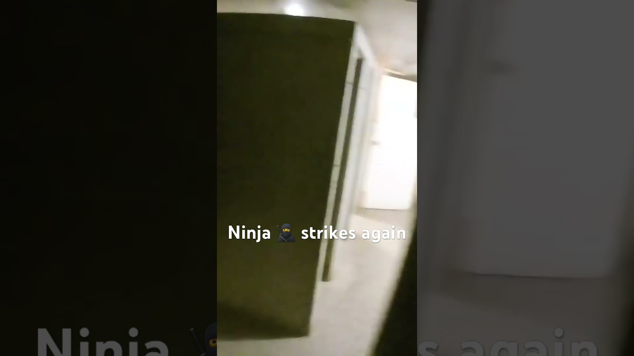 Ninja strikes again 