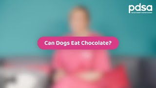 Can Dogs Eat Chocolate? | Pet Health Advice by PDSA 2,020 views 1 year ago 1 minute, 48 seconds