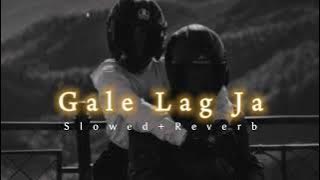 Gale Lag Ja - Slowed Reverb | De Dana Dan | Javed Ali | Breath
