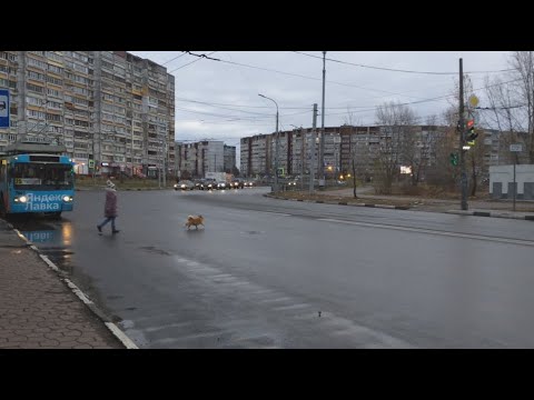 Остановка 4 микрорайон мещерского озера Остановка 4 микрорайон мещерского озера