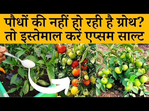 वीडियो: मैं एप्सम सॉल्ट का उपयोग कैसे कर सकता हूं?