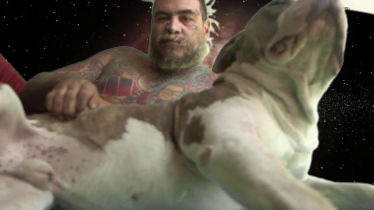 Mr. Pimp - WAU (Video Oficial)