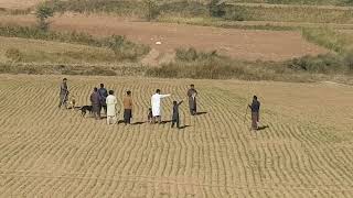 hunting of rabbit | chakwal Road