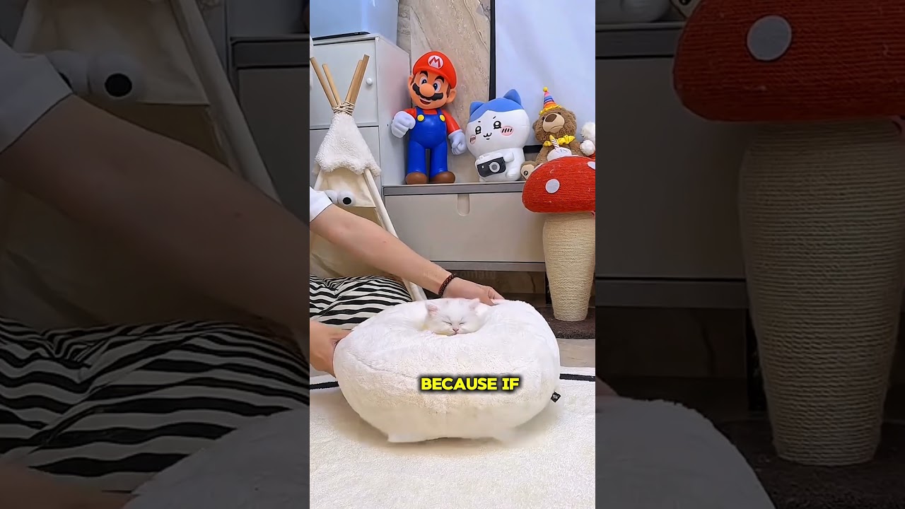 Sweater Snuggle 😊 