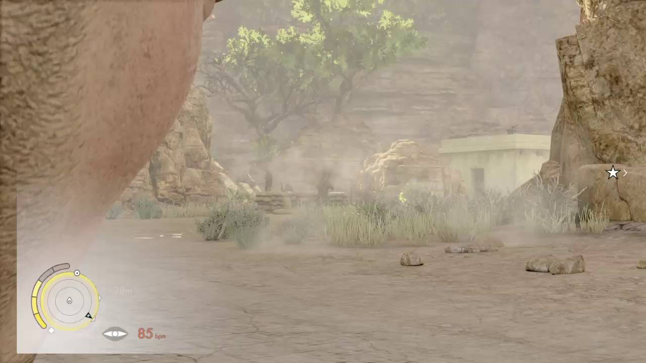 Sniper Elite 3 nut shot