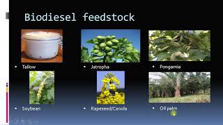 Biodiesel Chemistry 3I Why biodiesel blends are used| Properties, emissions, production of Biodiesel