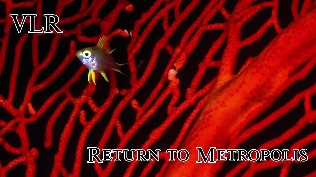 Drexciya 2 Hour Mix - Return To Bubble Metropolis