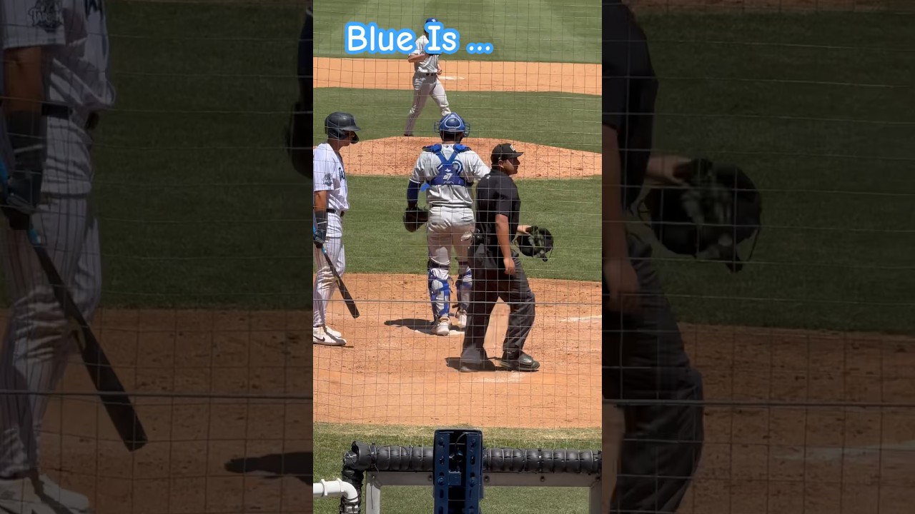 ⚾️RoboUmp⚾️ Blue punches the hitter out, hitter appeals.  