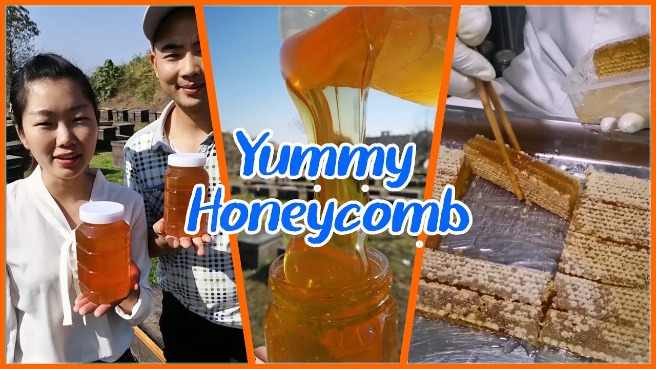 Best HoneyConb Eating Mukbang | ABS HoneyBEE | Best Eating Videos 🎖️68