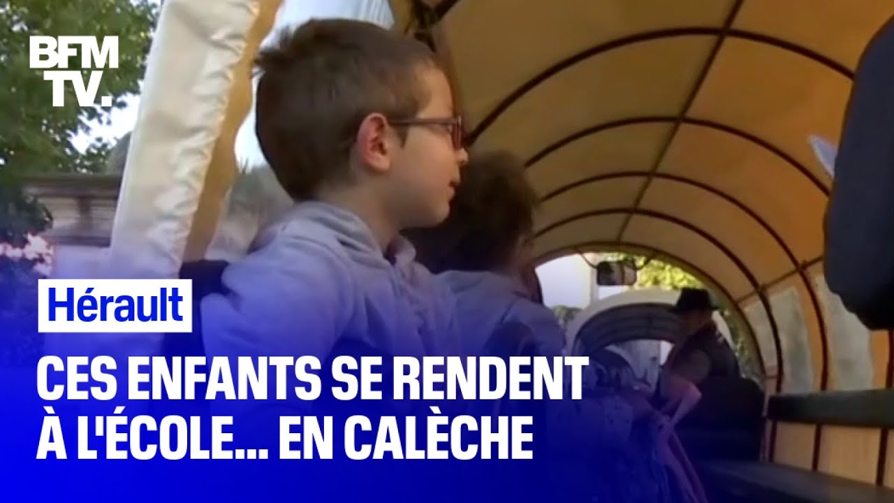 Dans l’Hérault, ces enfants vont à l’école… en calèche bfmtv i shot the sheriff
