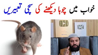 Khwab Mein Choha Dekhna Khwab Mein Chuha Dekhna Khwab Mein Chuhe Dekhna Khwab Me Chuha Dekhna