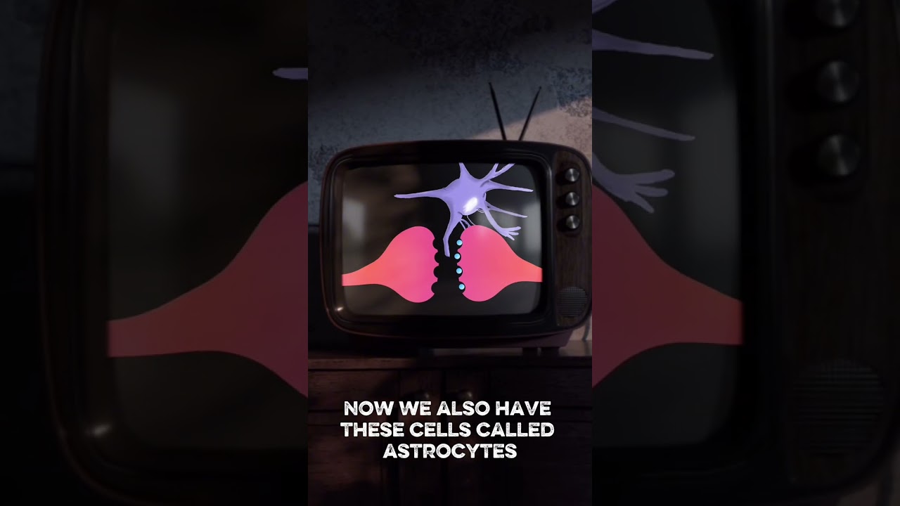 Let's talk about glutamate!